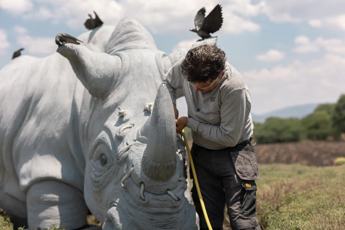 Rinoceronte Blanco · En proceso · 15